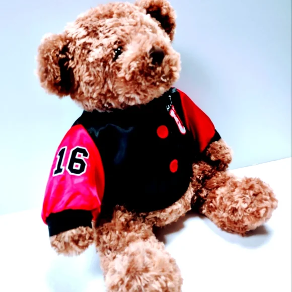 EUC Dan Dee Collector's Plush 17 " Brown Teddy Bear with Love U on the jacket - Picture 10 of 14